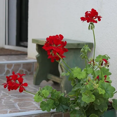 Patricia Pihenohaz * Alsonana