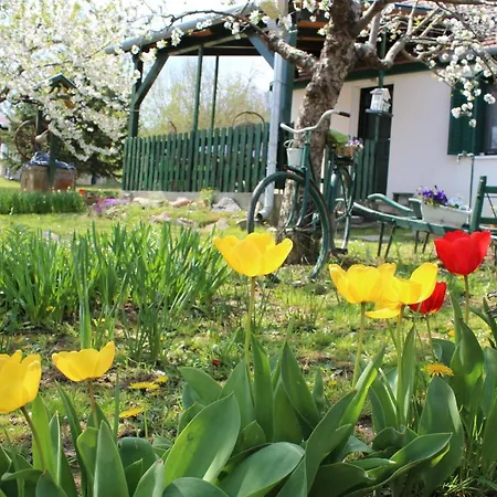 Patricia Pihenohaz Apartment Alsonana