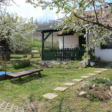 Patricia Pihenohaz Apartment
